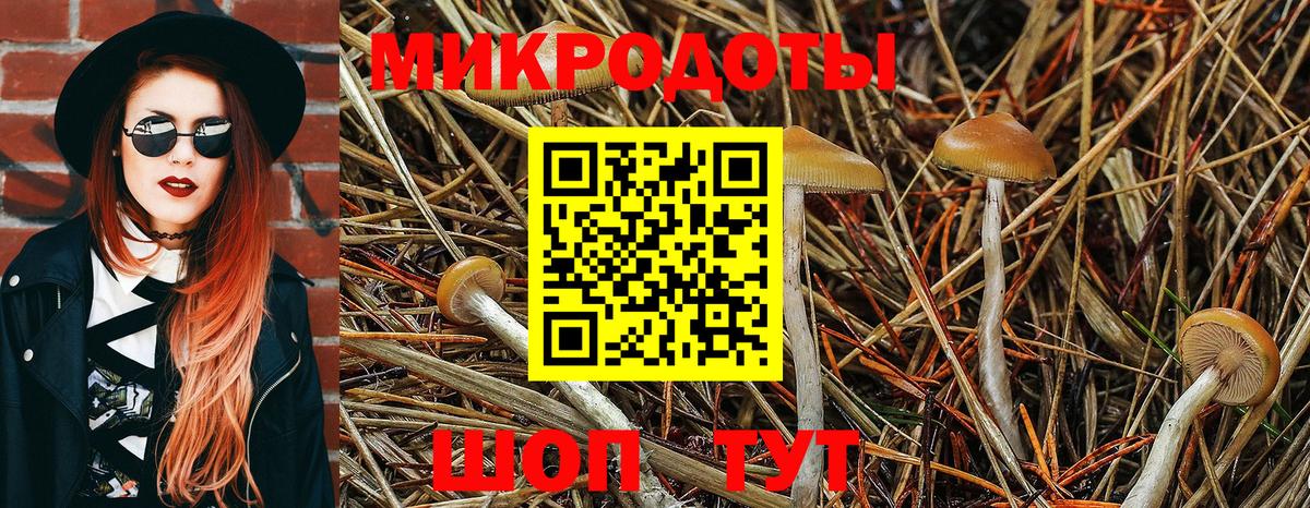 Псилоцибиновые грибы Psilocybe  Вход с VPN  Семёнов 